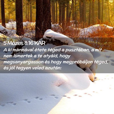 Picture 02 - 5 Mózes 8:16 KAR - A ki mannával étete téged a pusztában, a mit - Bible Verse Picture