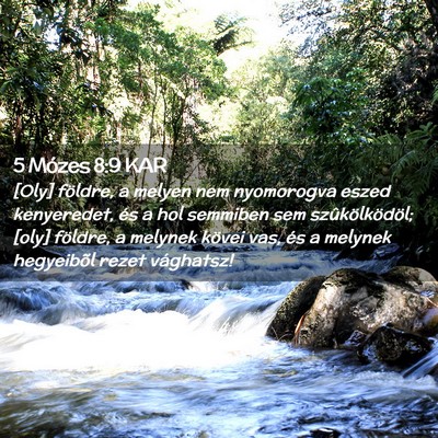 Picture 02 - 5 Mózes 8:9 KAR - [Oly] földre, a melyen nem nyomorogva eszed - Bible Verse Picture