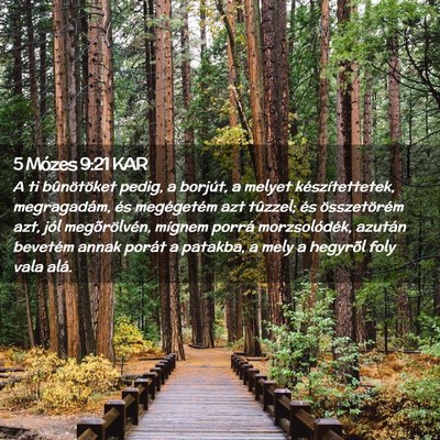 Picture 02 - 5 Mózes 9:21 KAR - A ti bûnötöket pedig, a borjút, a melyet - Bible Verse Picture
