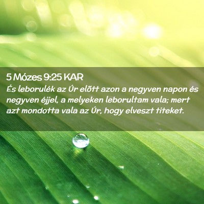 Picture 02 - 5 Mózes 9:25 KAR - És leborulék az Úr elõtt azon a negyven napon - Bible Verse Picture