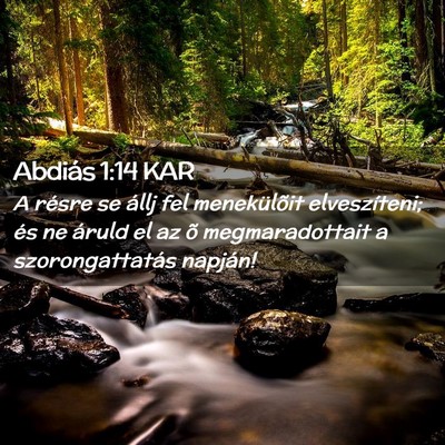 Picture 02 - Abdiás 1:14 KAR - A résre se állj fel menekülõit elveszíteni; - Bible Verse Picture