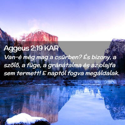 Picture 02 - Aggeus 2:19 KAR - Van-é még mag a csûrben? És bizony, a - Bible Verse Picture