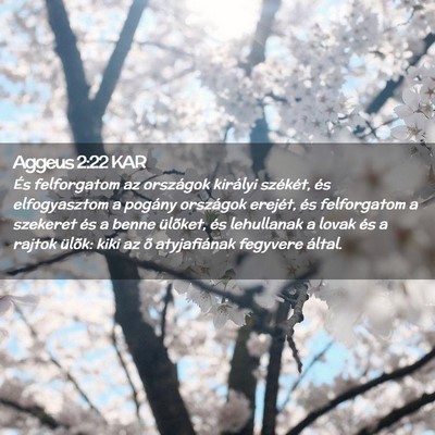 Picture 02 - Aggeus 2:22 KAR - És felforgatom az országok királyi székét, - Bible Verse Picture