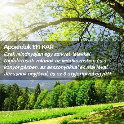 Picture 02 - Apostolok 1:14 KAR - Ezek mindnyájan egy szívvel-lélekkel - Bible Verse Picture
