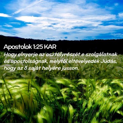 Picture 02 - Apostolok 1:25 KAR - Hogy elnyerje az osztályrészét e szolgálatnak - Bible Verse Picture