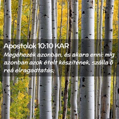 Picture 02 - Apostolok 10:10 KAR - Megéhezék azonban, és akara enni: míg azonban - Bible Verse Picture