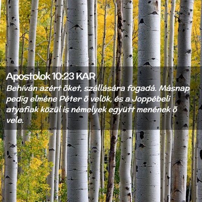 Picture 02 - Apostolok 10:23 KAR - Behíván azért õket, szállására fogadá. - Bible Verse Picture