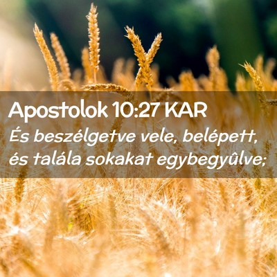 Picture 02 - Apostolok 10:27 KAR - És beszélgetve vele, belépett, és talála - Bible Verse Picture