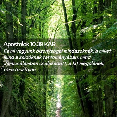 Picture 02 - Apostolok 10:39 KAR - És mi vagyunk bizonyságai mindazoknak, a miket - Bible Verse Picture