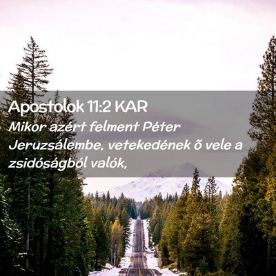 Picture 02 - Apostolok 11:2 KAR - Mikor azért felment Péter Jeruzsálembe, - Bible Verse Picture