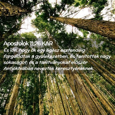 Picture 02 - Apostolok 11:26 KAR - És lõn, hogy õk egy egész esztendeig - Bible Verse Picture