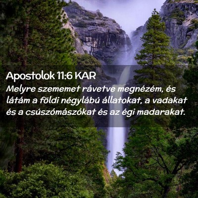 Picture 02 - Apostolok 11:6 KAR - Melyre szememet rávetve megnézém, és látám - Bible Verse Picture