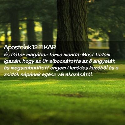 Picture 02 - Apostolok 12:11 KAR - És Péter magához térve monda: Most tudom - Bible Verse Picture