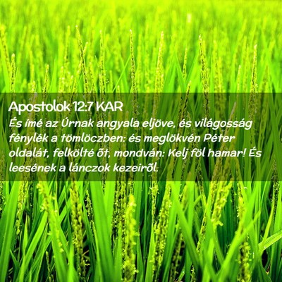 Picture 02 - Apostolok 12:7 KAR - És ímé az Úrnak angyala eljöve, és - Bible Verse Picture