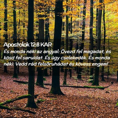 Picture 02 - Apostolok 12:8 KAR - És monda néki az angyal: Övezd fel magadat, - Bible Verse Picture
