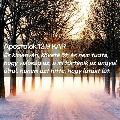 Picture 02 - Apostolok 12:9 KAR - És kimenvén, követé õt; és nem tudta, hogy - Bible Verse Picture