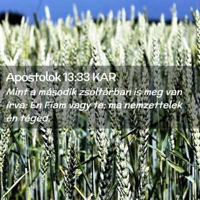 Picture 02 - Apostolok 13:33 KAR - Mint a második zsoltárban is meg van írva: Én - Bible Verse Picture