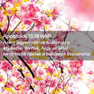 Picture 02 - Apostolok 13:38 KAR - Azért legyen néktek tudtotokra, atyámfiai, - Bible Verse Picture