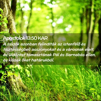 Picture 02 - Apostolok 13:50 KAR - A zsidók azonban felindíták az istenfélõ és - Bible Verse Picture