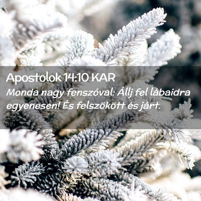 Picture 02 - Apostolok 14:10 KAR - Monda nagy fenszóval: Állj fel lábaidra - Bible Verse Picture