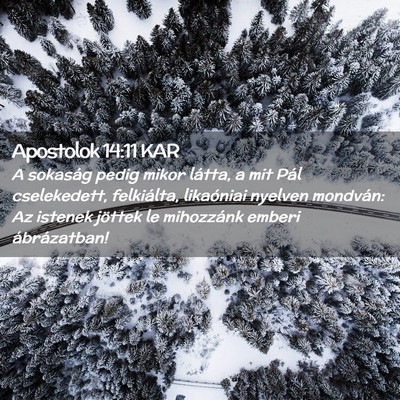 Picture 02 - Apostolok 14:11 KAR - A sokaság pedig mikor látta, a mit Pál - Bible Verse Picture