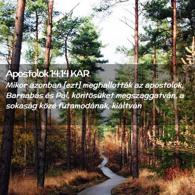Picture 02 - Apostolok 14:14 KAR - Mikor azonban [ezt] meghallották az apostolok, - Bible Verse Picture