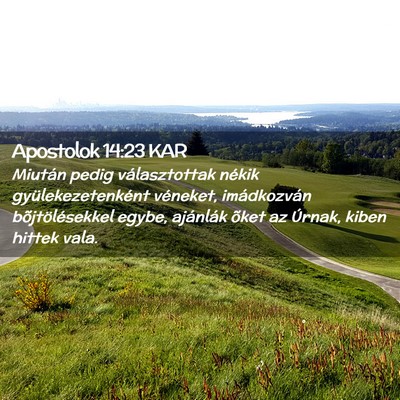 Picture 02 - Apostolok 14:23 KAR - Miután pedig választottak nékik - Bible Verse Picture