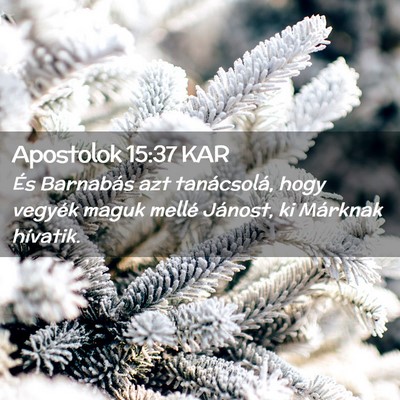Picture 02 - Apostolok 15:37 KAR - És Barnabás azt tanácsolá, hogy vegyék maguk - Bible Verse Picture