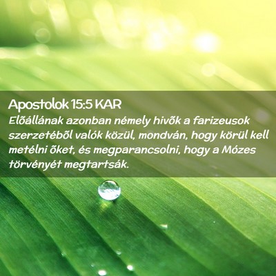 Picture 02 - Apostolok 15:5 KAR - Elõállának azonban némely hivõk a farizeusok - Bible Verse Picture
