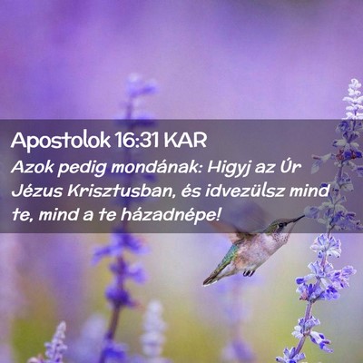 Picture 02 - Apostolok 16:31 KAR - Azok pedig mondának: Higyj az Úr Jézus - Bible Verse Picture