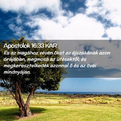 Picture 02 - Apostolok 16:33 KAR - És az magához vévén õket az éjszakának - Bible Verse Picture