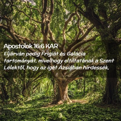 Picture 02 - Apostolok 16:6 KAR - Eljárván pedig Frigiát és Galácia - Bible Verse Picture