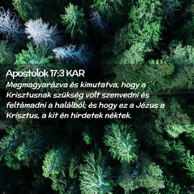 Picture 02 - Apostolok 17:3 KAR - Megmagyarázva és kimutatva, hogy a Krisztusnak - Bible Verse Picture