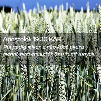 Picture 02 - Apostolok 19:30 KAR - Pál pedig mikor a nép közé akara menni, nem - Bible Verse Picture
