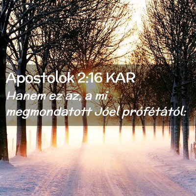 Picture 02 - Apostolok 2:16 KAR - Hanem ez az, a mi megmondatott Jóel - Bible Verse Picture