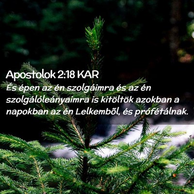Picture 02 - Apostolok 2:18 KAR - És épen az én szolgáimra és az én - Bible Verse Picture