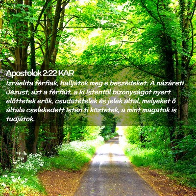 Picture 02 - Apostolok 2:22 KAR - Izráelita férfiak, halljátok meg e - Bible Verse Picture