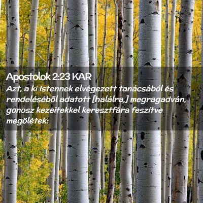 Picture 02 - Apostolok 2:23 KAR - Azt, a ki Istennek elvégezett tanácsából és - Bible Verse Picture