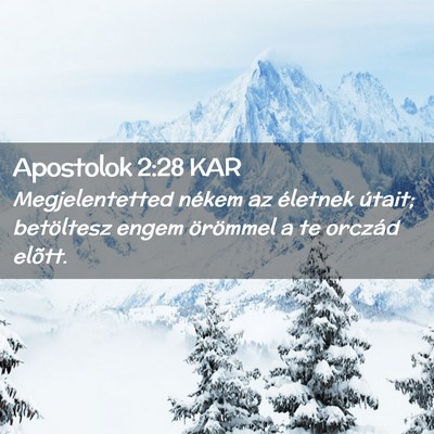 Picture 02 - Apostolok 2:28 KAR - Megjelentetted nékem az életnek útait; - Bible Verse Picture