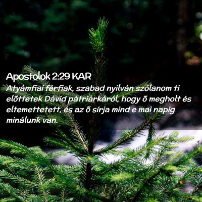 Picture 02 - Apostolok 2:29 KAR - Atyámfiai férfiak, szabad nyilván szólanom ti - Bible Verse Picture