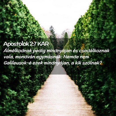 Picture 02 - Apostolok 2:7 KAR - Álmélkodnak pedig mindnyájan és csodálkoznak - Bible Verse Picture