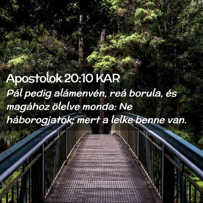 Picture 02 - Apostolok 20:10 KAR - Pál pedig alámenvén, reá borula, és magához - Bible Verse Picture