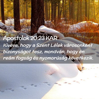 Picture 02 - Apostolok 20:23 KAR - Kivéve, hogy a Szent Lélek városonként - Bible Verse Picture