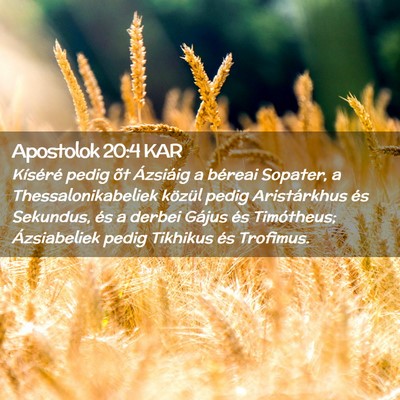 Picture 02 - Apostolok 20:4 KAR - Kíséré pedig õt Ázsiáig a béreai Sopater, - Bible Verse Picture