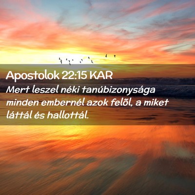 Picture 02 - Apostolok 22:15 KAR - Mert leszel néki tanúbizonysága minden - Bible Verse Picture