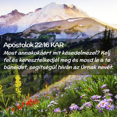 Picture 02 - Apostolok 22:16 KAR - Most annakokáért mit késedelmezel? Kelj fel - Bible Verse Picture