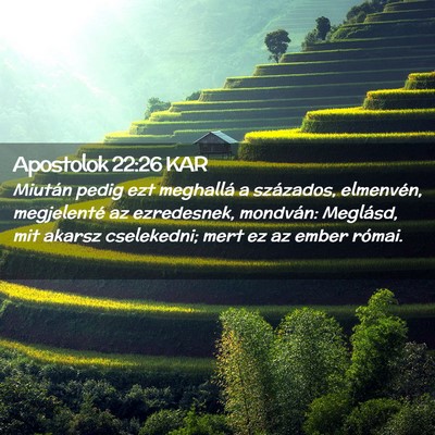 Picture 02 - Apostolok 22:26 KAR - Miután pedig ezt meghallá a százados, - Bible Verse Picture