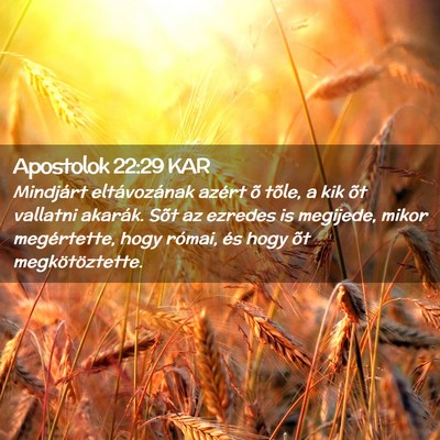 Picture 02 - Apostolok 22:29 KAR - Mindjárt eltávozának azért õ tõle, a kik - Bible Verse Picture