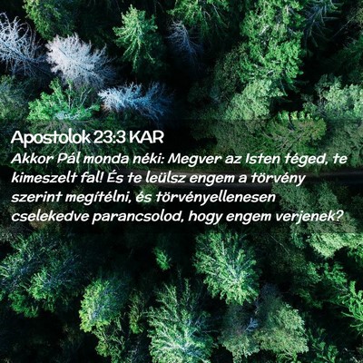 Picture 02 - Apostolok 23:3 KAR - Akkor Pál monda néki: Megver az Isten téged, - Bible Verse Picture