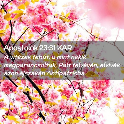 Picture 02 - Apostolok 23:31 KAR - A vitézek tehát, a mint nékik - Bible Verse Picture